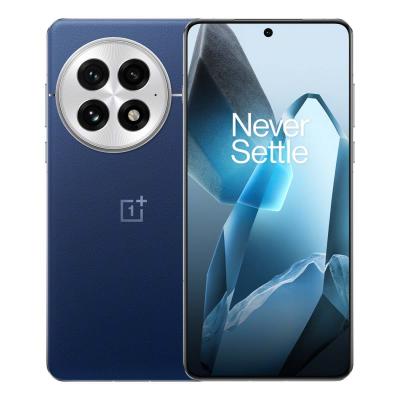 OnePlus 13 (2024) 16/512Gb Blue, синий